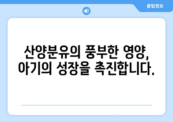 위드맘 산양제왕 1단계 완벽 가이드| 성장 단계별 맞춤 영양 정보 | 산양분유, 아기, 성장, 영양, 면역