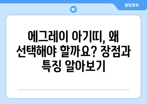 에그레이 아기띠 사용 가이드| 신생아부터 18개월까지 | 아기띠 추천,  사용법, 안전 정보