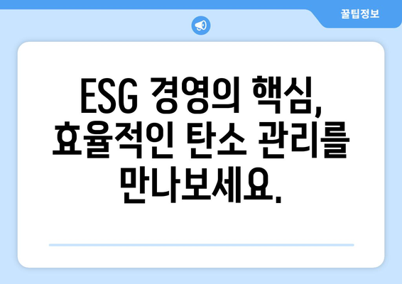 싸이벡스 멜리오 카본| 효율적인 탄소 관리를 위한 솔루션 | 탄소 배출 감축, 지속가능한 기술, ESG 경영