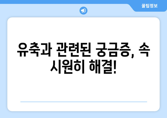 모유 유축기 사용 가이드| 맘 편한 유축, 제대로 알고 시작하세요 | 모유 유축, 유축기 추천, 유축 방법, 모유 수유 팁